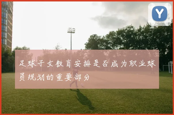 足球子女教育安排是否成为职业球员规划的重要部分